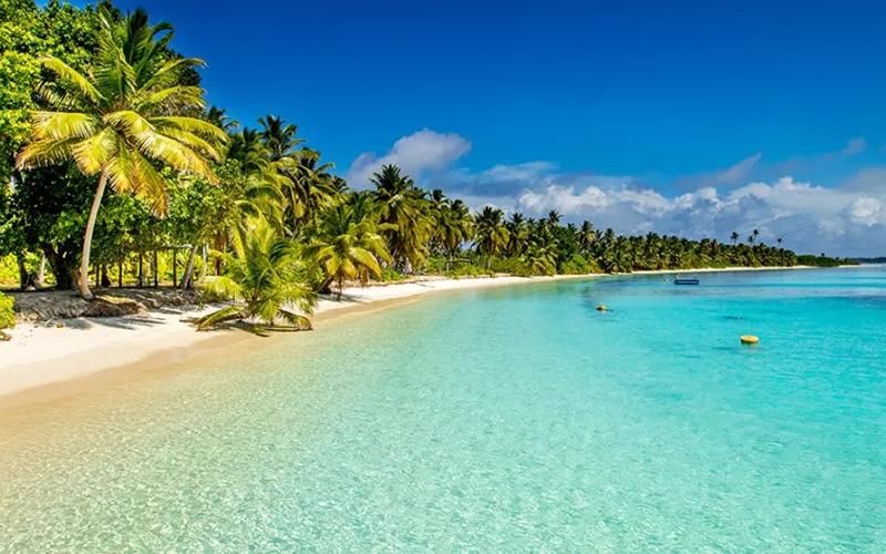 小国投资入籍多重国籍？探究小国投资入籍的多重国籍政策