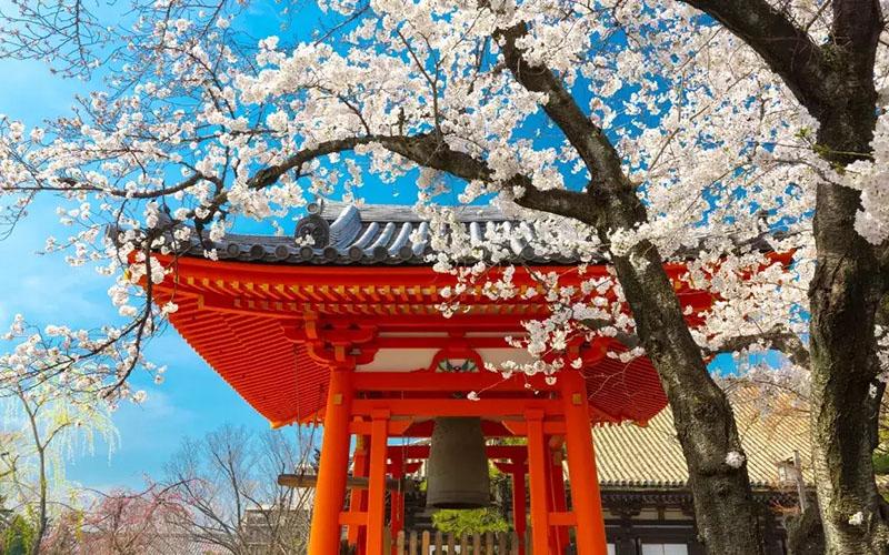 美国eb1a审批时间是不是有点长？如何缩短等待周期？