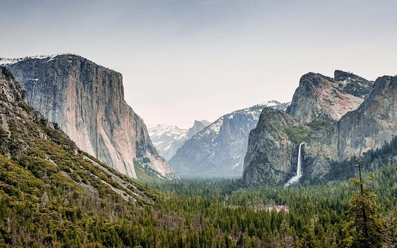 如何办投资入籍去美国？全面解析申请步骤与注意事项