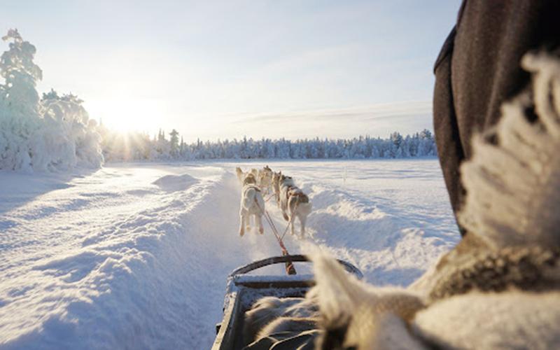 小国投资入籍换签要多久？了解办理流程及时间周期