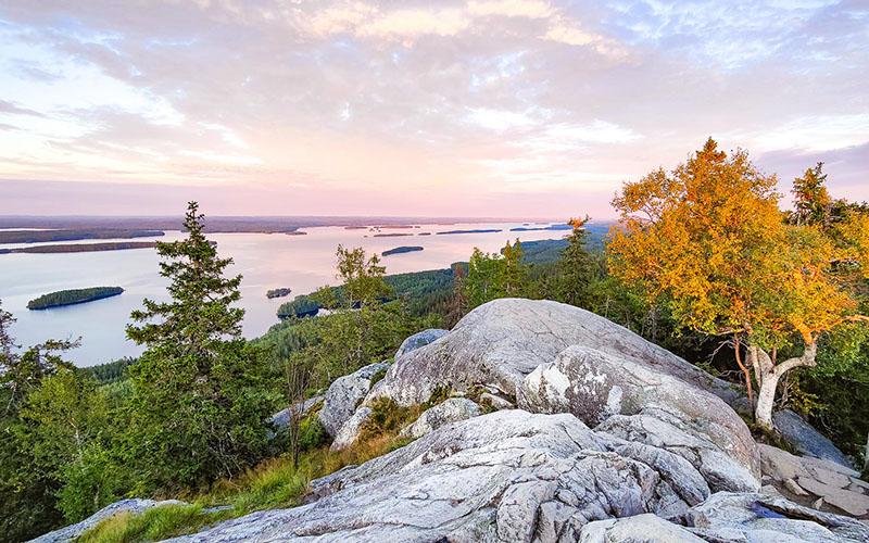 美国投资入籍怎样买社保？获取社保福利的详细流程解析