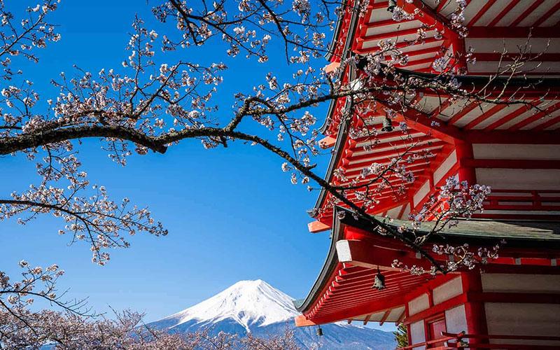 小国投资入籍回中国机票多少？如何节省回国机票费用？