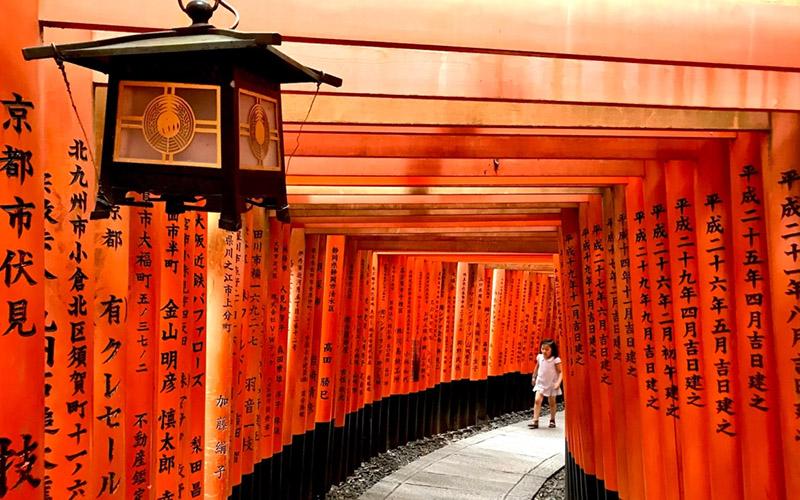 小国投资入籍好用吗？全面解析小国投资入籍的优势与使用场景