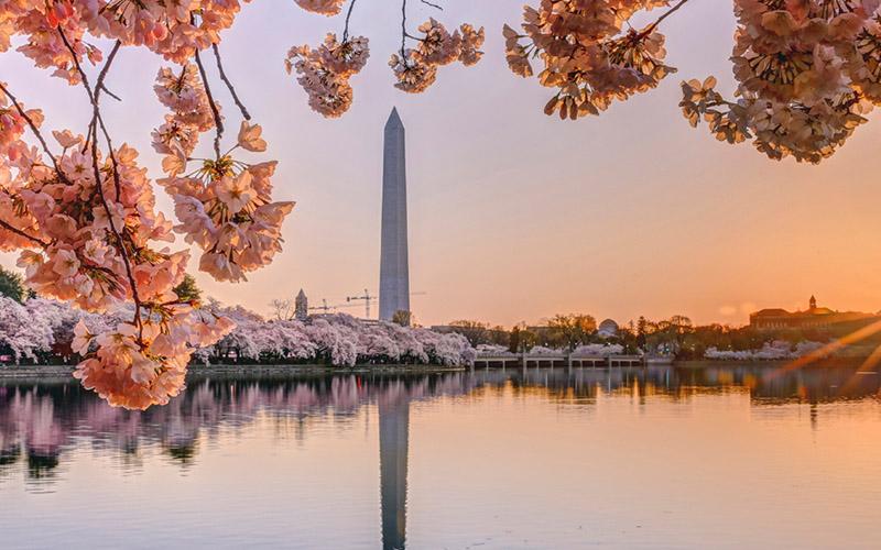 EB1A优先日是怎样得来的？解析EB1A优先日的计算和影响