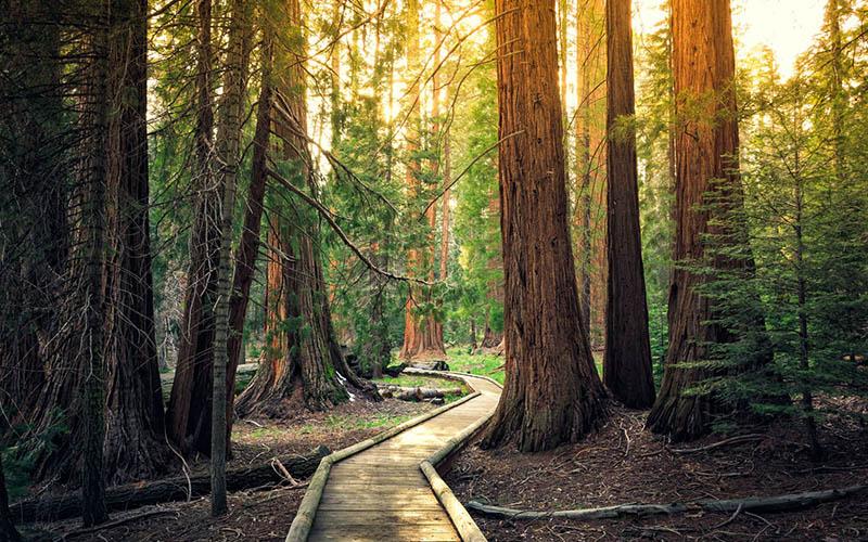 美国投资入籍被卡原因？常见问题与解决方案